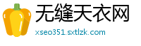 无缝天衣网